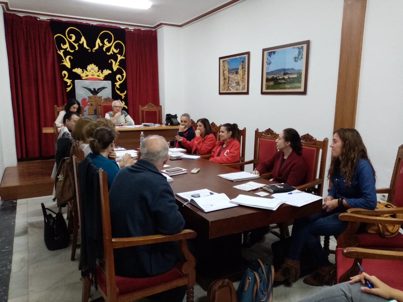 Participación de CASTILLA LA MANCHA INCLUSIVA COCEMFE en el consejo