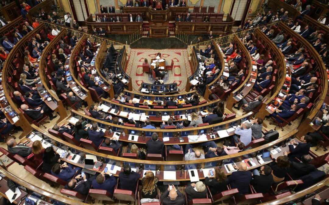 Castilla-La Mancha Inclusiva COCEMFE pide el apoyo de todos los partidos a la reforma del artículo 49  de la Constitución